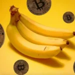 Bitcoin na Zona da Banana