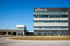 Bunge Supera Expectativas